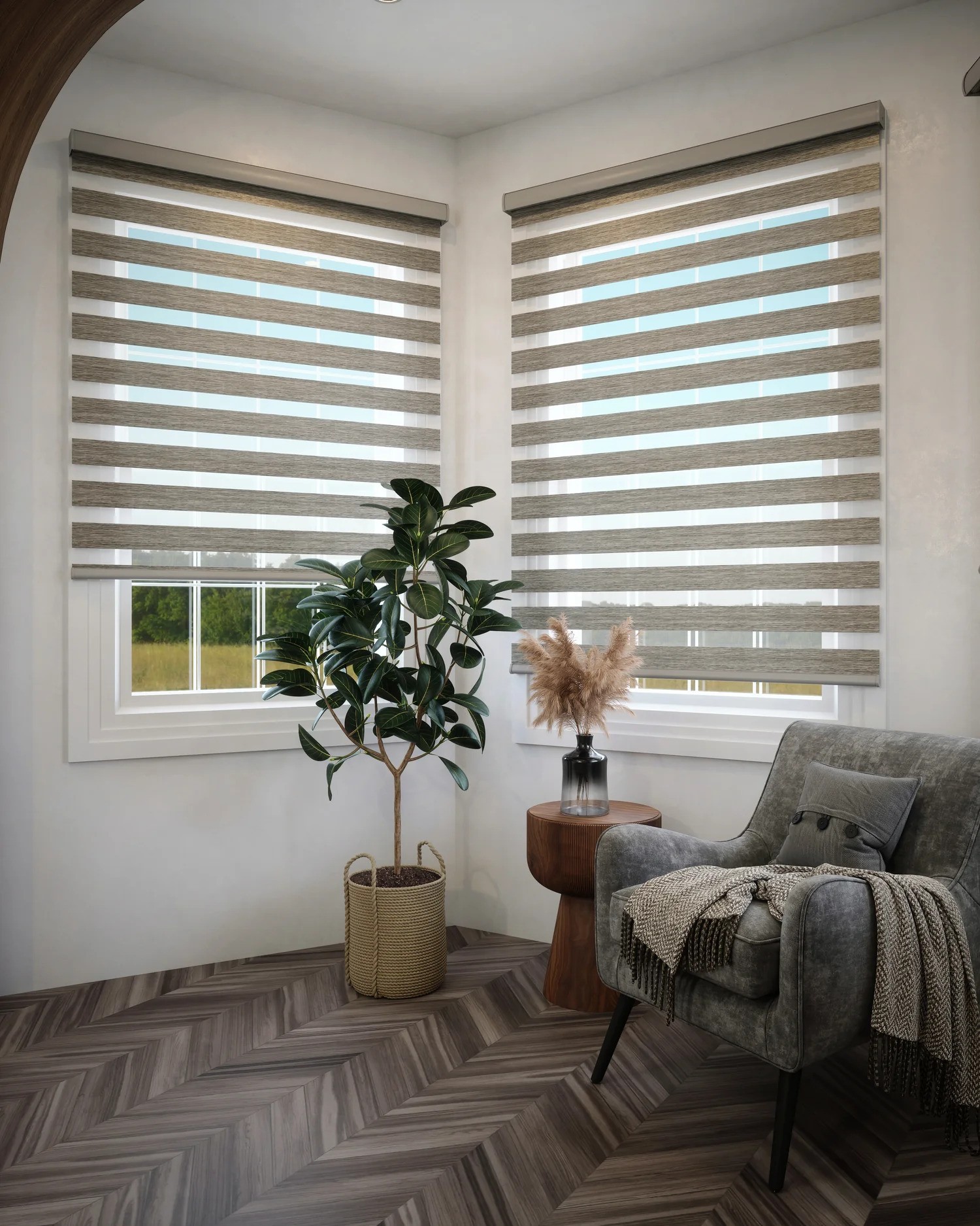 Light Filtering Zebra